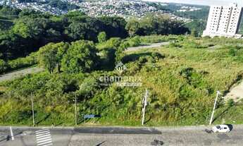 Imagem 6: TERRENO - NOSSA SENHORA DAS GRAÇAS (658,96M²