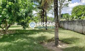 Imagem 4: Sítio à venda, 21780 m², Br-324 - Amélia Rodrigues/BA