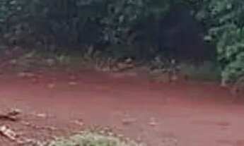 Imagem 5: Casa Assis Chateaubriand 690 Mil troco carros