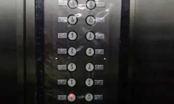 Imagem 7: COMERCIAL - PERDIZES - SP