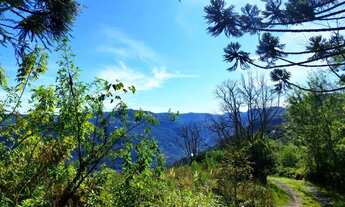 Imagem 4: Sítio / Chácara para Venda em Nova Petrópolis, Linha Brasil Fundos