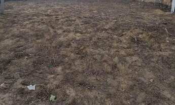 Imagem 3: TERRENO EM CABUÇÚ - BA