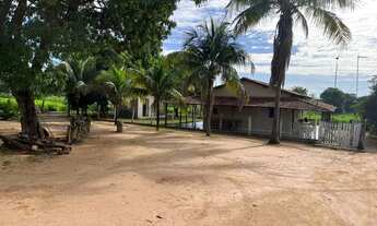 Imagem 7: FAZENDA EM BURITIZEIRO MG NA BEIRA DO RIO SÃO FRANCISCO FORMADA E COM DOIS PIVÔS