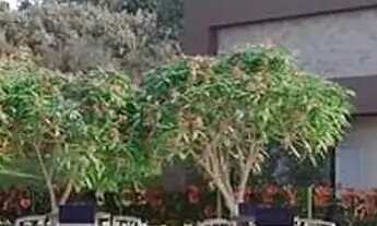 Imagem 5: Terreno no Condomínio Florais Esmeralda, na Av das Torres