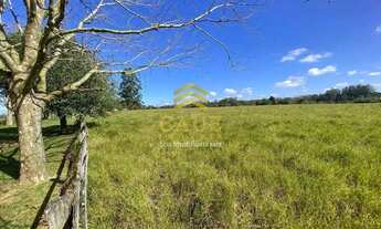 Imagem 3: Imóvel para venda com 101000 metros quadrados em Águas Claras - Viamão - RS