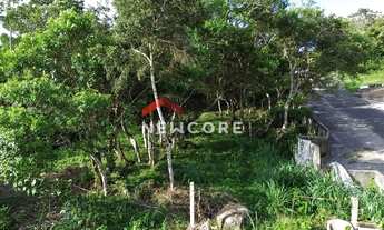 Imagem 4: Lote em Rua Gécio de Souza e Silva - Sambaqui - Florianópolis/SC