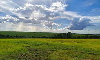 Imagem 6: Vendo Terreno Coliseu Residence