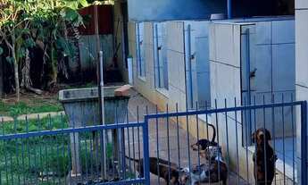 Imagem 5: Pra quem procura tranquilidade e paz,ótima localização