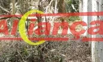 Imagem 5: MAIRIPORA TERRENO MIL METROS QUADRADOS