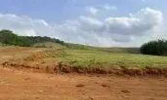 Imagem 7: Lotes Planos - Venha Conhecer