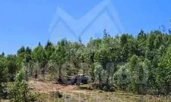 Imagem: Sítio / Rural / Centro (Arcadas