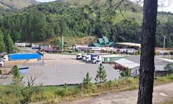 Imagem 4: Chácara 10.000m² (1 hectare ) em Campina Grande so Sul PR