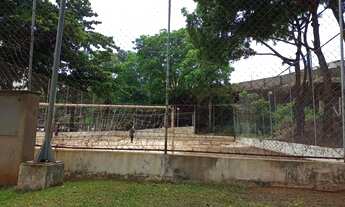 Imagem 5: Apartamento Padrão de 2 dormitórios no Jardim Paulista, Ribeirão Preto