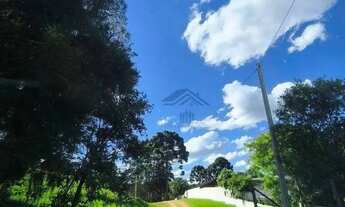 Imagem 4: Chácara à venda, 12000 m² por R$ 250.000 - Areia Branca dos Assis - Mandirituba/Paraná