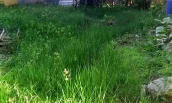 Imagem 4: AREA - JARDIM LAS VEGAS - SP