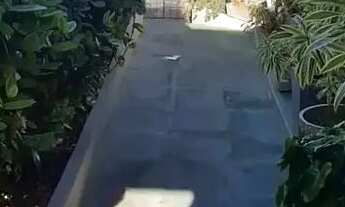 Imagem 3: Casa à venda em rua pública, BONSUCESSO, Olinda, PE