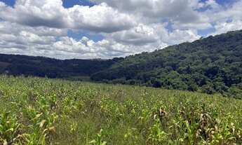 Imagem 4: Lotes para venda possui 500 metros quadrados em Cachoeira - Ibiúna - SP