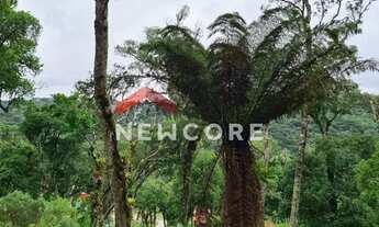 Imagem 6: Lote em Rua dos Pessegueiros - Campo do Meio - São Francisco de Paula/RS