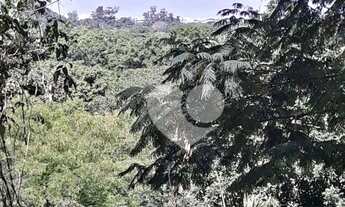 Imagem 2: Terreno Plano e Murado em Condomínio Estruturado Vargem Pequena