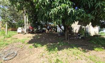 Imagem 4: Vendo lote comercial TO 050