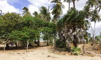 Imagem 7: Terreno na Praia de Santa Clara- H. de Campos