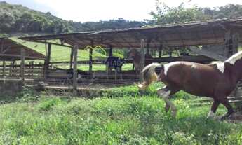 Imagem 6: Fazenda, Centro, Itambacuri-MG