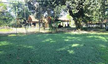 Imagem 3: Chácara para venda 5.375 m² com 4 suítes, piscina