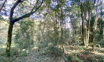 Imagem 4: Área rural com 1 alqueire em Cascavel