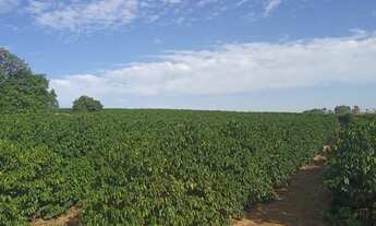 Imagem 6: Sitio em arcerburgo 3 alqueires 970.000.00 ( do