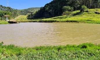 Imagem 7: SÍTIO PRÓXIMO A BR 101 - 8 HECTARES