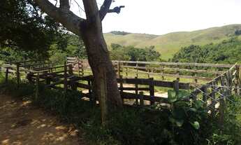 Imagem 5: Fazenda/Sítio/Chácara para venda tem 585600 metros quadrados com 3 quartos