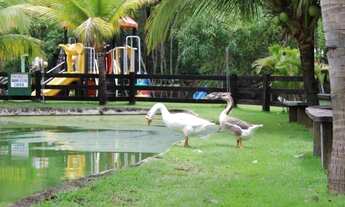 Imagem 3: Chácara lindissima com estrutura incrível sentido aparecida com 16.456 hectares
