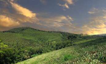 Imagem 4: Vende-se terreno 1000m² !!!!!!!!