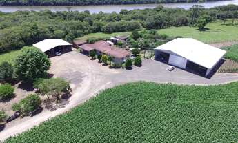 Imagem: Fazenda com 75 Alqueires - Casa - Galpão