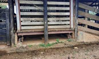 Imagem 3: Fazenda 173 alqueires com 170 de abertura!<br>região de São Félix do Xingu!