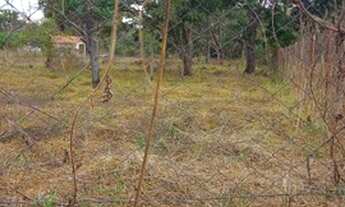 Imagem 2: Lotes na represa de três Marias