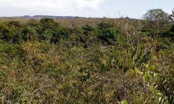 Imagem 5: Vendo/Troco Chácara linda 2,5 hetares em São Sebastião