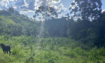 Imagem 6: Lugar Especial e Imperdível! Belíssimo Terreno de 5.431m² - O Melhor de Marmelópolis/MG