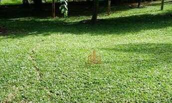 Imagem 7: Chácara com 2 dormitórios à venda, 1000 m² por R$ 240.000,00 - dos Mirandas - Tatuí/SP