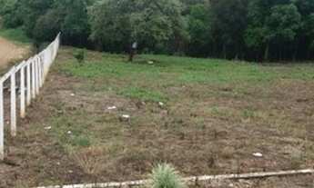 Imagem 2: Terreno à venda em Olarias