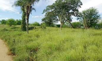 Imagem: Terreno Beira de rio