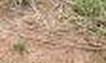 Imagem 7: Fazenda à venda, m² por R$ 100.000.000,00 - Zona Rural - Planalto da Serra/MT