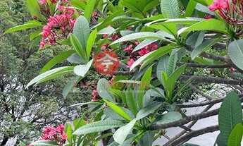 Imagem 3: Ótimo Sobrado para venda em Alto da Lapa - Vila Leopoldina