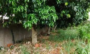 Imagem 5: Terreno gaveta no Cuca Fresca 1000 Metros