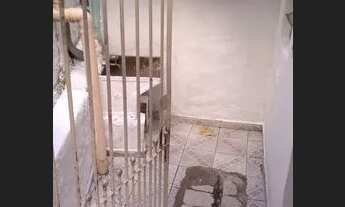 Imagem 3: Aluga-se casas Freguesia do SP