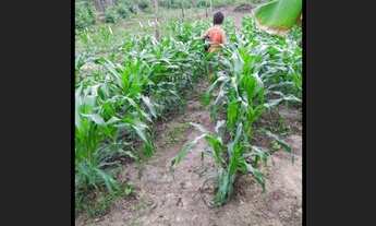 Imagem 4: Vendo chácara em lagarto