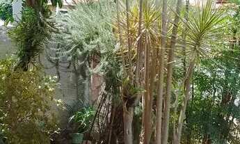 Imagem: Casa à venda em Parque Franceschini