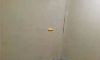 Imagem 7: Casa para aluguel, 1 quarto, Jardim São Pedro - São Paulo/SP