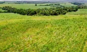 Imagem 3: Região de Conchas Fazenda 70 Alqueires (OCASIÃO