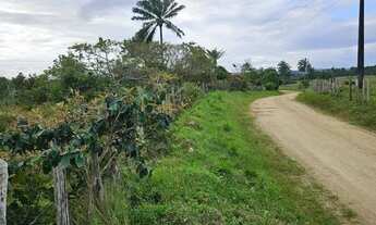 Imagem: Vendo excelente lote em Nazaré das farinha